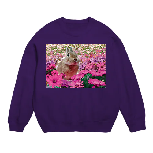 そらちゃん-うさぎのうみ Crew Neck Sweatshirt