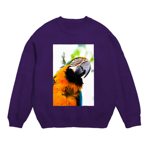 Parrot Crew Neck Sweatshirt