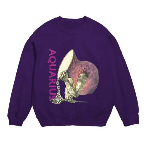 Aquarius Crew Neck Sweatshirt