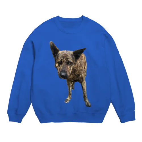 愛犬注意 Crew Neck Sweatshirt