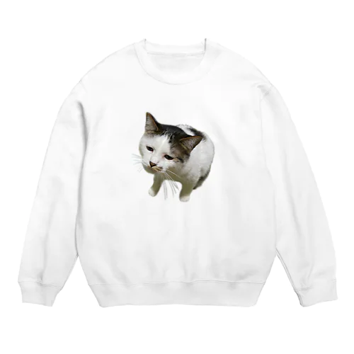 こなきあずき（全体） Crew Neck Sweatshirt