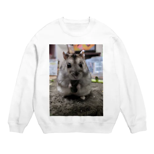 ハムハムマルマル Crew Neck Sweatshirt