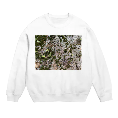 苔 Crew Neck Sweatshirt