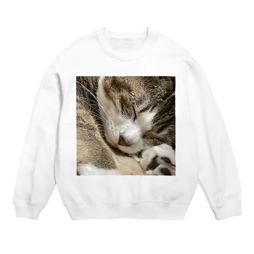 猫(キジシロ) Crew Neck Sweatshirt