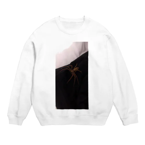 spider Crew Neck Sweatshirt