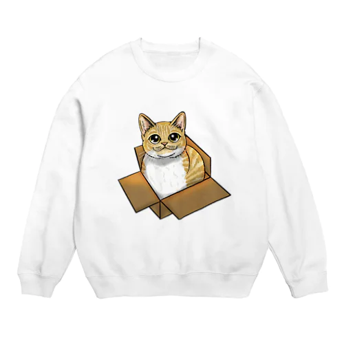 ダンボールにゃんこ Crew Neck Sweatshirt