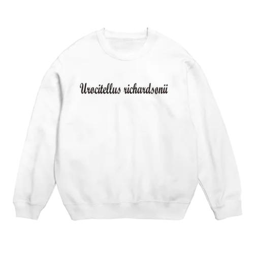 ロゴT　リチャードソンジリス Crew Neck Sweatshirt