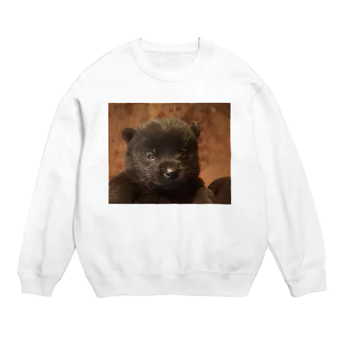 甲斐犬　 Crew Neck Sweatshirt