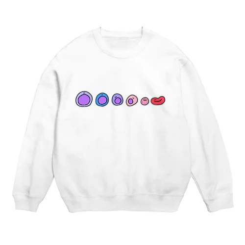 Evolution! 赤芽球系 Crew Neck Sweatshirt