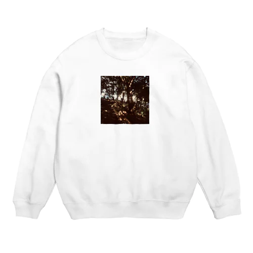 natureシリーズ『光の森』 Crew Neck Sweatshirt