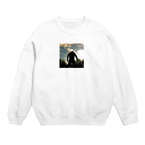 FIRST TRY Crew Neck Sweatshirt