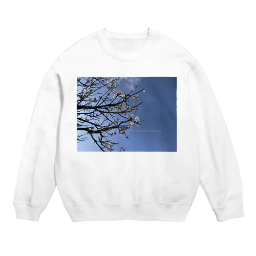 光景　sight738　梅  花 FLOWERS Crew Neck Sweatshirt