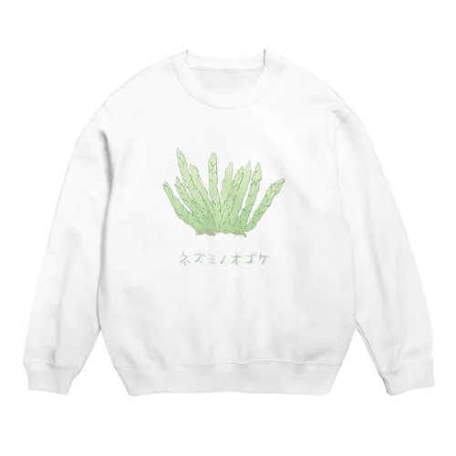 ネズミノオゴケ【苔グッズ】 Crew Neck Sweatshirt