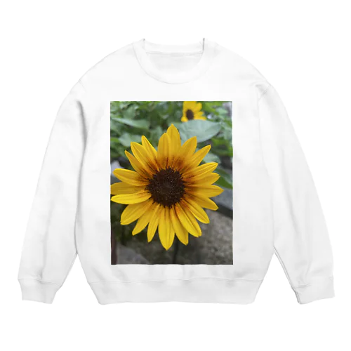 ちょっぴり　まぶしい　ひまわり Crew Neck Sweatshirt