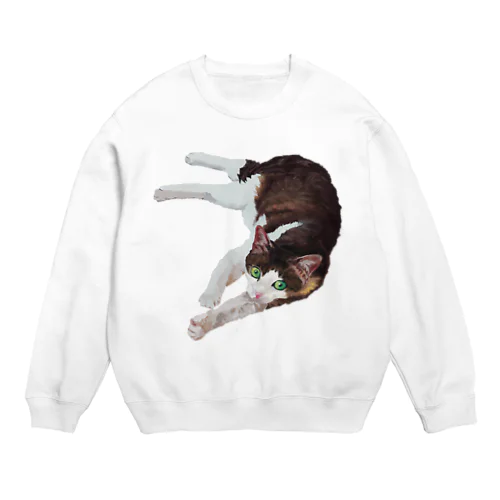 Miyako Crew Neck Sweatshirt