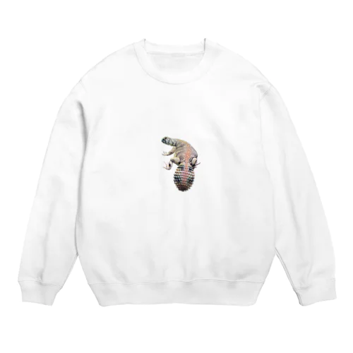 トーマストゲオアガマくん Crew Neck Sweatshirt