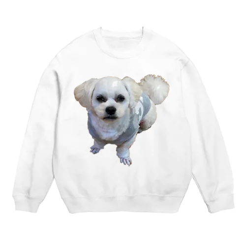 イケメン犬 Crew Neck Sweatshirt