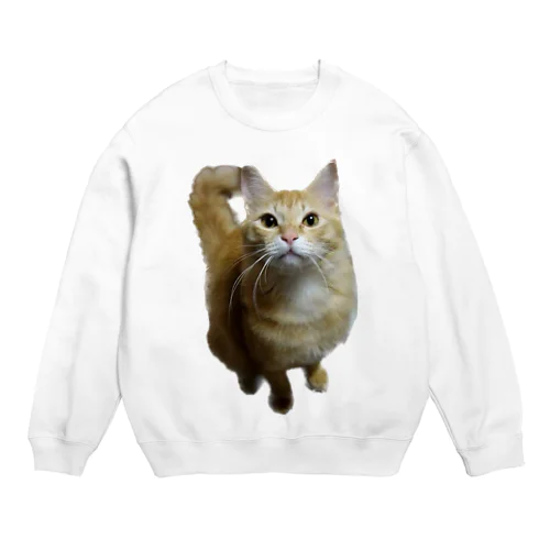 我が家のお猫様が見てます(笑) Crew Neck Sweatshirt