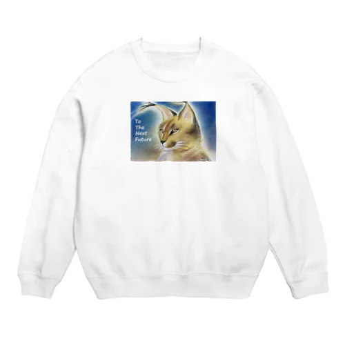 Next Future Crew Neck Sweatshirt