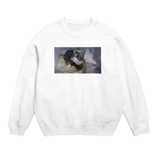 アイドルにごたん Crew Neck Sweatshirt