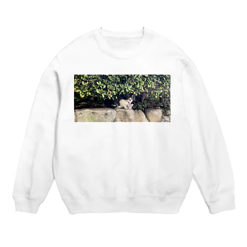 近所ネコさん Crew Neck Sweatshirt