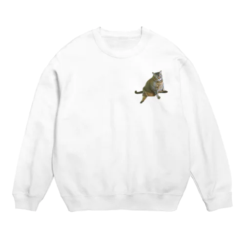 ライ Crew Neck Sweatshirt