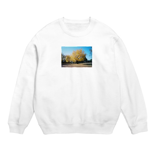 ginkgo tree Crew Neck Sweatshirt