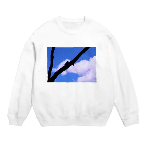 セミシルエット×青空 Crew Neck Sweatshirt