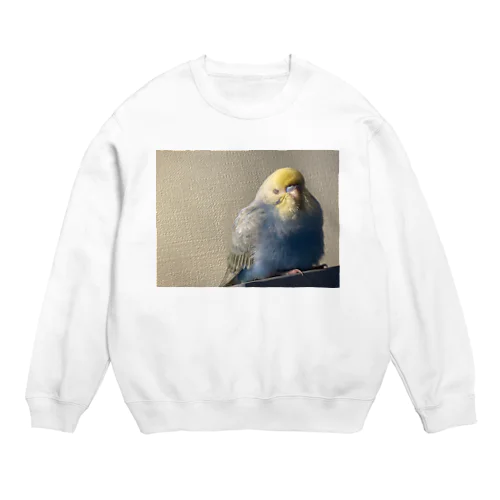 インコといっしょ Crew Neck Sweatshirt