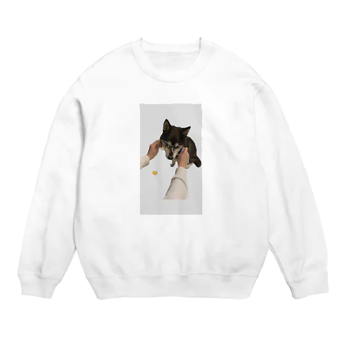 勉学に励む柴犬 Crew Neck Sweatshirt