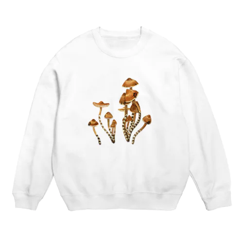 ヒカゲシビレタケ【菌類図譜 キノコ きのこ】 Crew Neck Sweatshirt