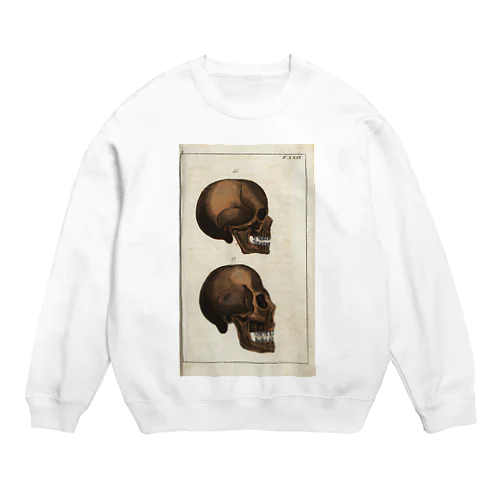 人体生理学 Crew Neck Sweatshirt