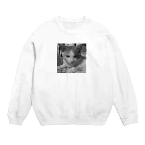 ネコのしょうきゃく Crew Neck Sweatshirt