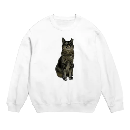 びっくり猫シリーズ Crew Neck Sweatshirt