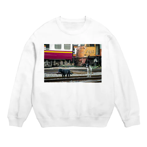 タイ国鉄フアランポーン駅に住む野良犬 Crew Neck Sweatshirt