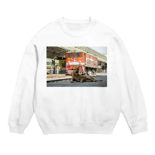 ミャンマー国鉄ヤンゴン駅のプラットホームで寛ぐ野良犬 Crew Neck Sweatshirt