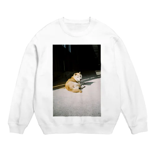 柴犬を買うゆめ Crew Neck Sweatshirt