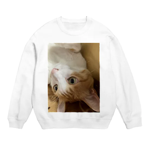 コロリンもも　ねこ Crew Neck Sweatshirt