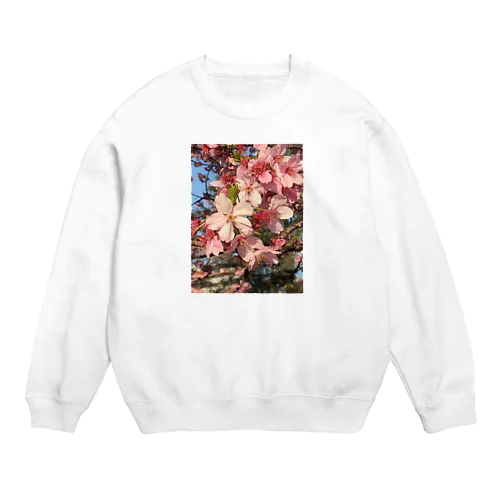 Sakura Crew Neck Sweatshirt