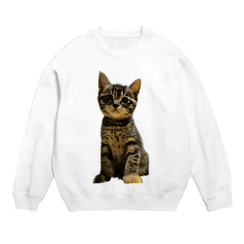 お座りする子猫 Crew Neck Sweatshirt