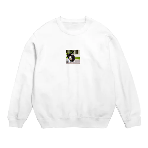 かわいい愛くるしい子猫 Crew Neck Sweatshirt