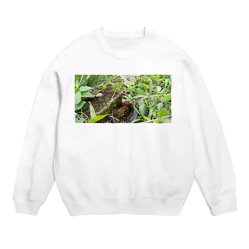 自然豊か Crew Neck Sweatshirt