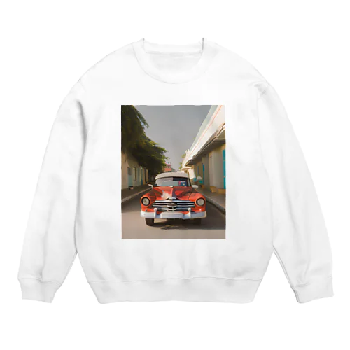 中南米 Crew Neck Sweatshirt