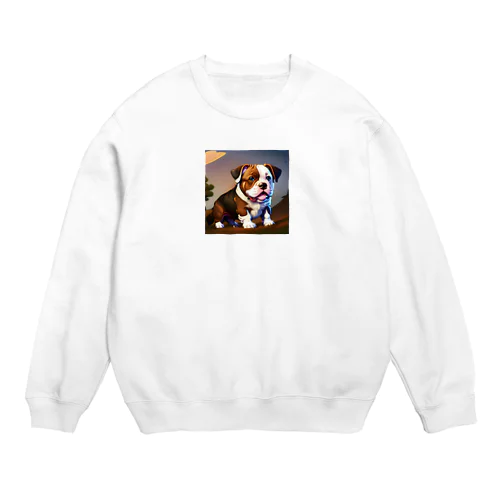 アメリカンブリー Crew Neck Sweatshirt