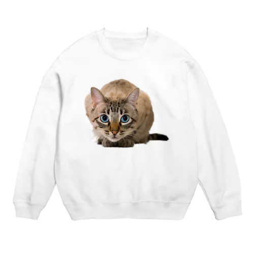 ねこちゃん Crew Neck Sweatshirt