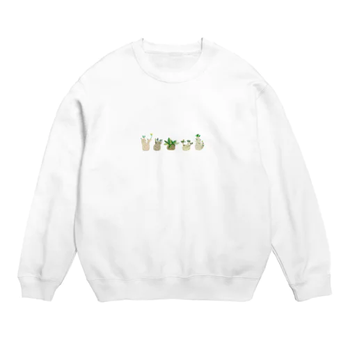 コーデックス Crew Neck Sweatshirt