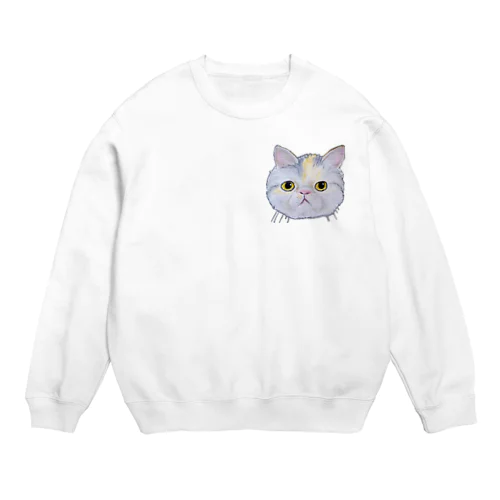 チョークアートのエキゾチックショートヘア😺 Crew Neck Sweatshirt