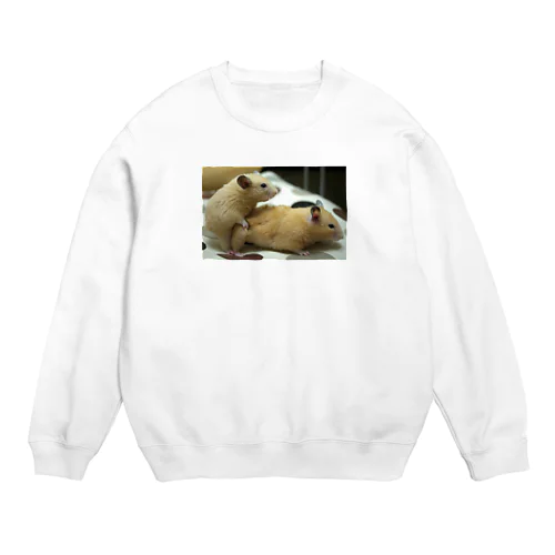 生命の源シリーズ Crew Neck Sweatshirt