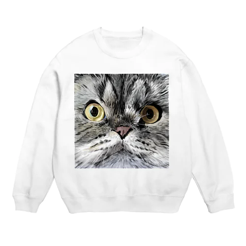 Rooey Crew Neck Sweatshirt