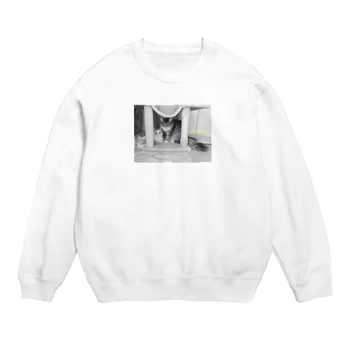 #ネコヒメペット 18ฅ^ơωơ^ฅ♡ Crew Neck Sweatshirt